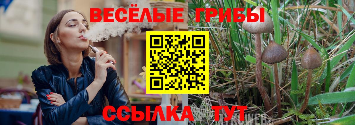 Псилоцибиновые грибы MAGIC MUSHROOMS  Вход с VPN  Россия 